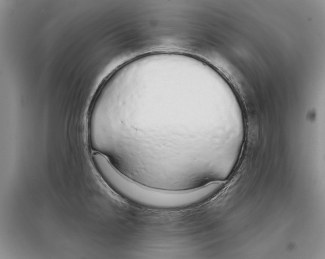 X0000097301238200803141525