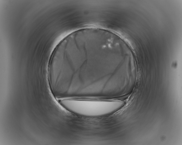 X0000097301239200803141525