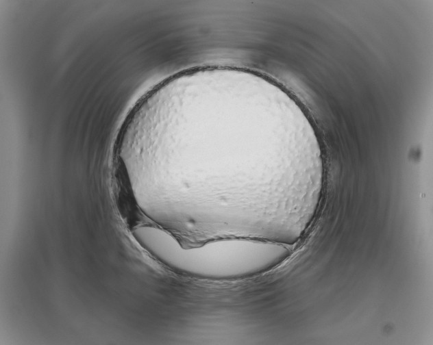 X0000097301240200803141525