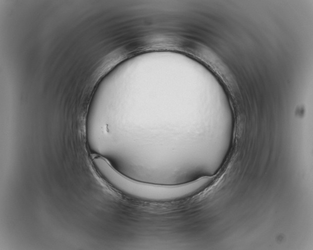 X0000097301241200803141525