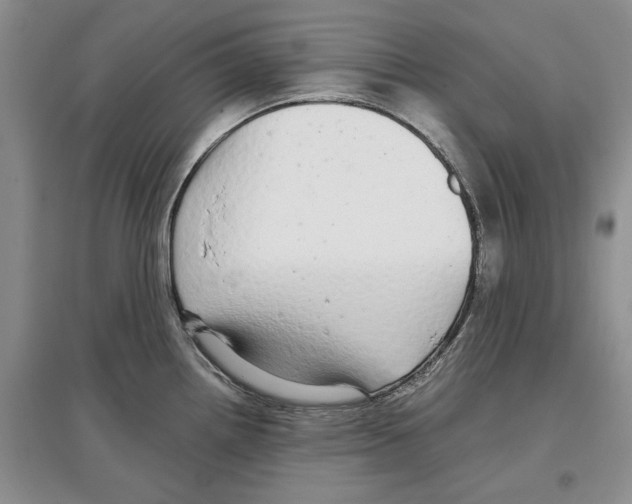 X0000097301242200803141525