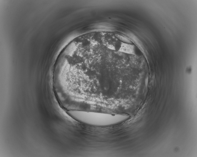 X0000097301243200803141525