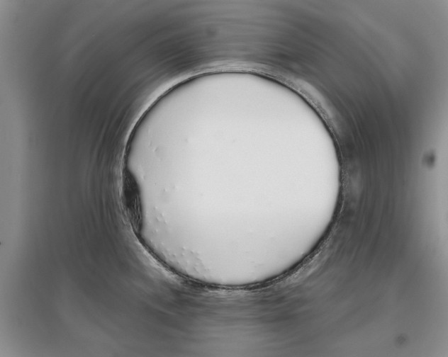 X0000097301244200803141525