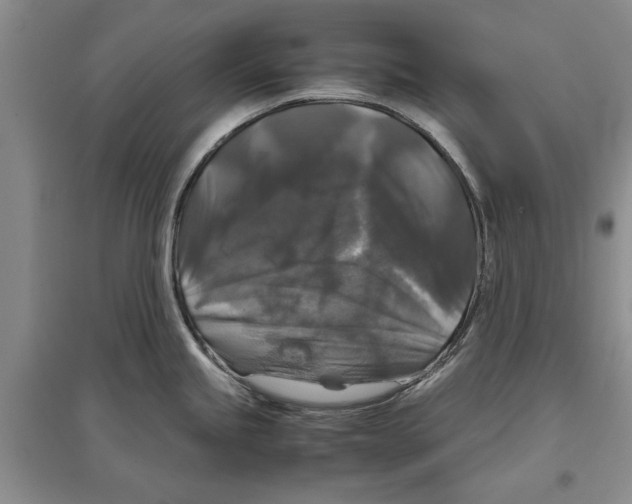 X0000097301245200803141525