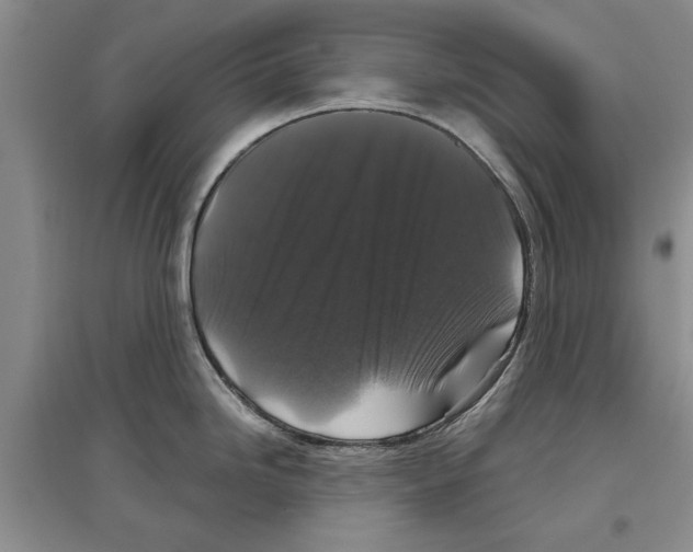 X0000097301246200803141525