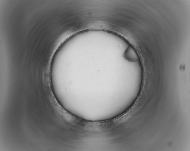 X0000097301248200803141525