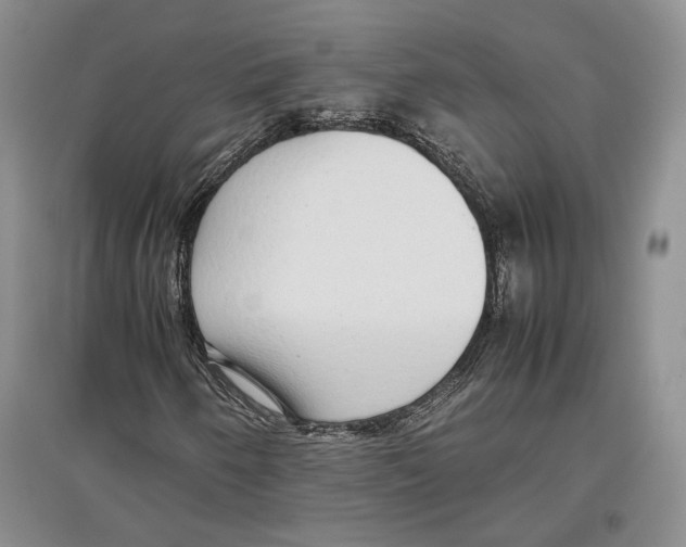 X0000097301250200803141525