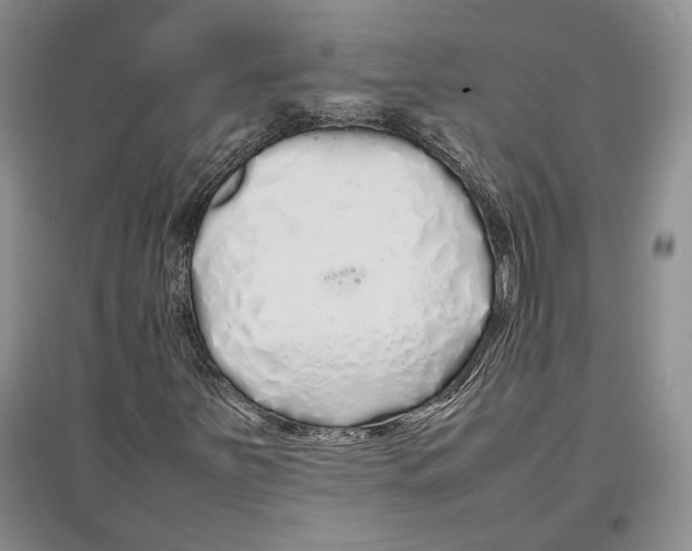 X0000097301251200803141525