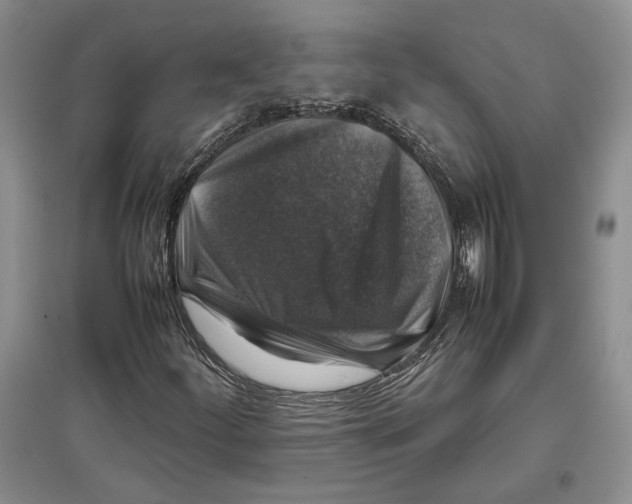 X0000097301252200803141525