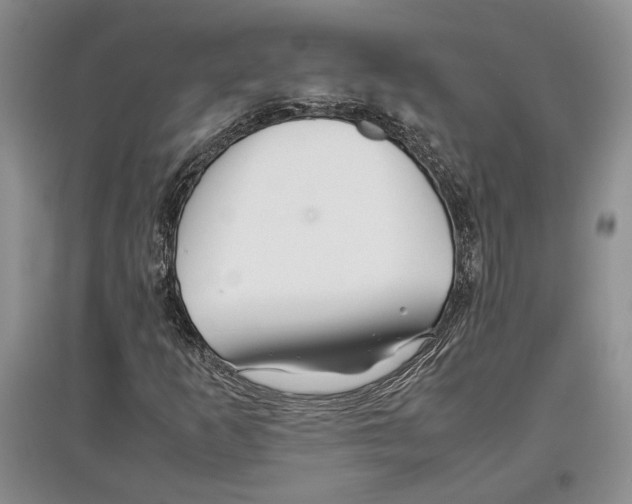 X0000097301253200803141525