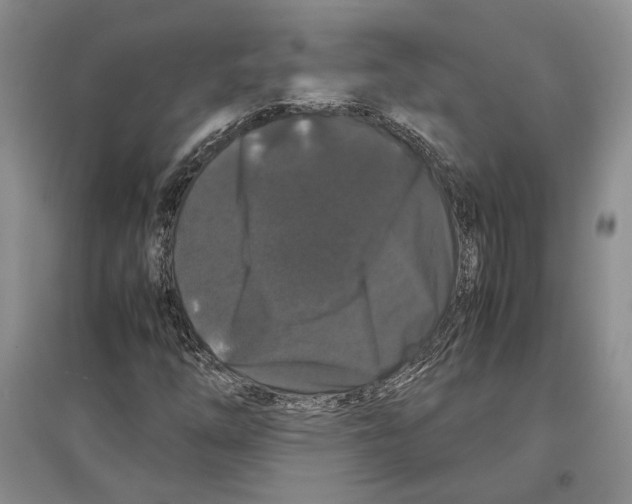 X0000097301254200803141524