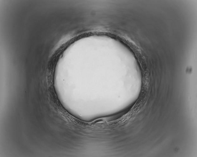 X0000097301255200803141524