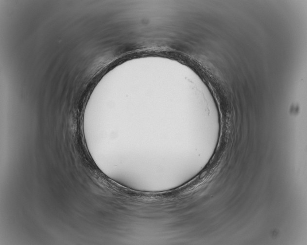 X0000097301257200803141524