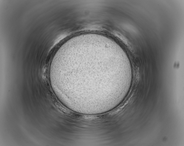 X0000097301258200803141524