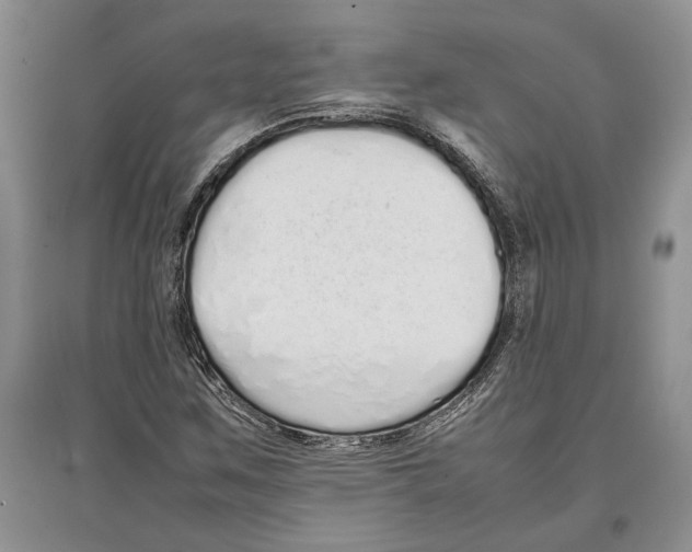 X0000097301259200803141524
