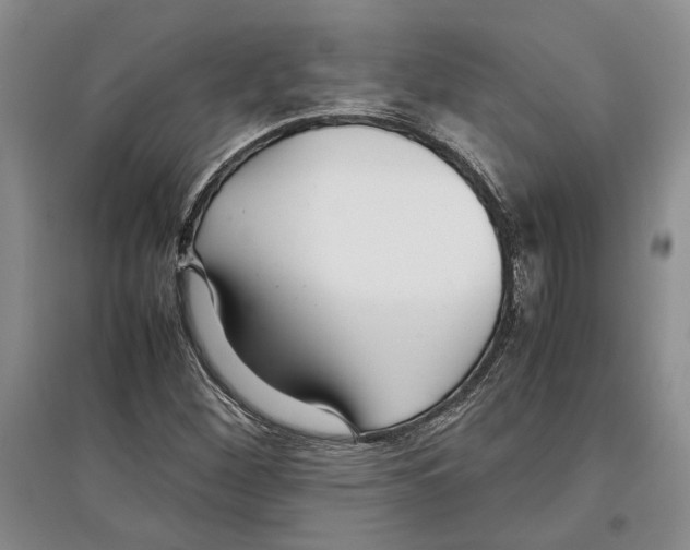 X0000097301260200803141524