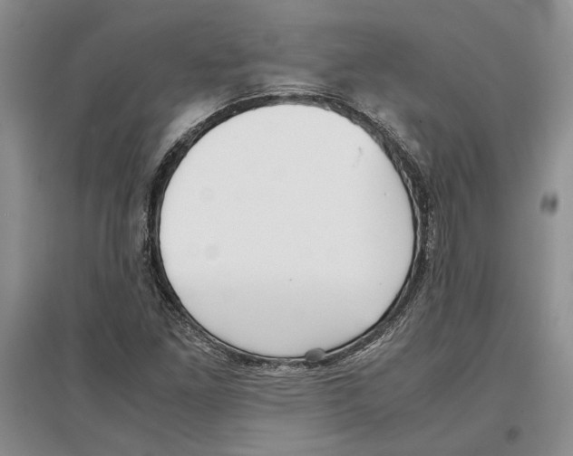 X0000097301261200803141524