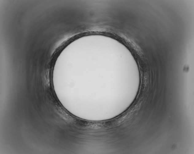 X0000097301262200803141524