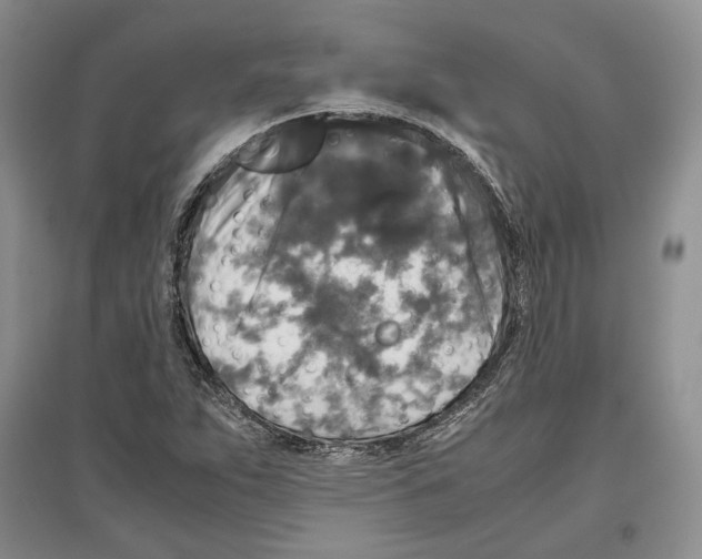 X0000097301263200803141524