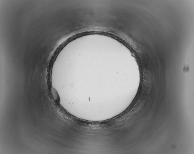 X0000097301264200803141524