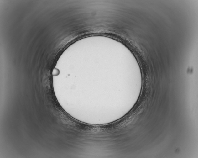 X0000097301265200803141524