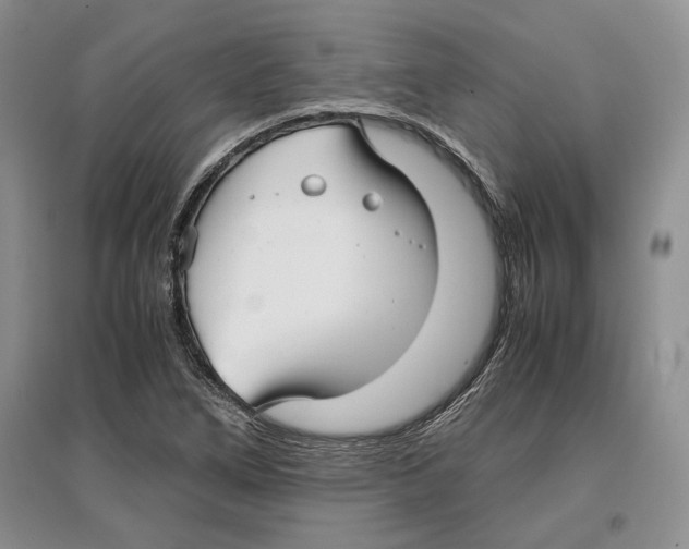 X0000097301266200803141524