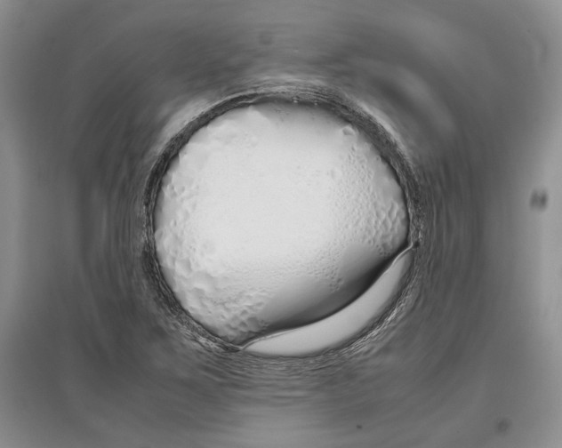 X0000097301267200803141524