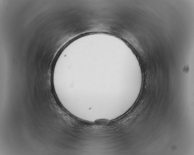 X0000097301268200803141524