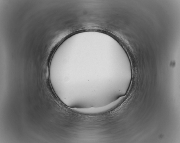 X0000097301269200803141524