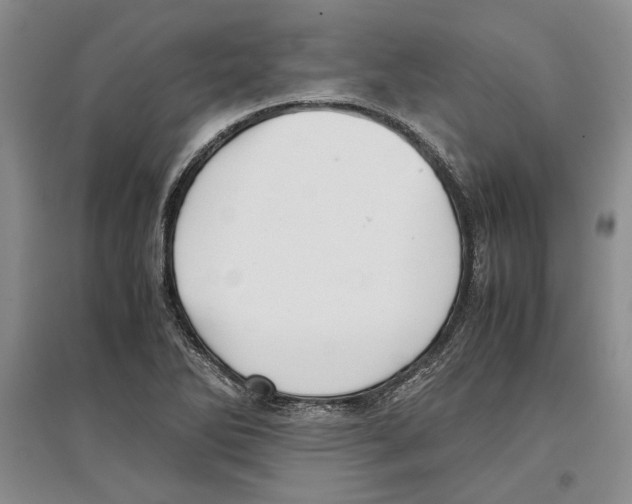 X0000097301270200803141524
