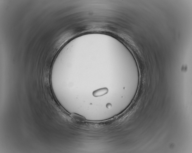 X0000097301273200803141524