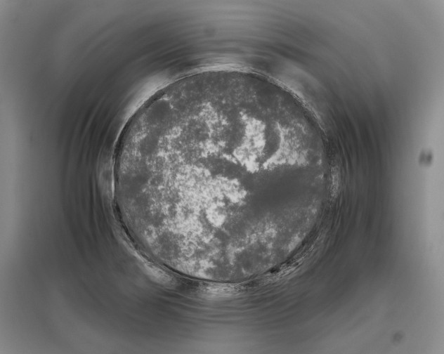 X0000097301274200803141524