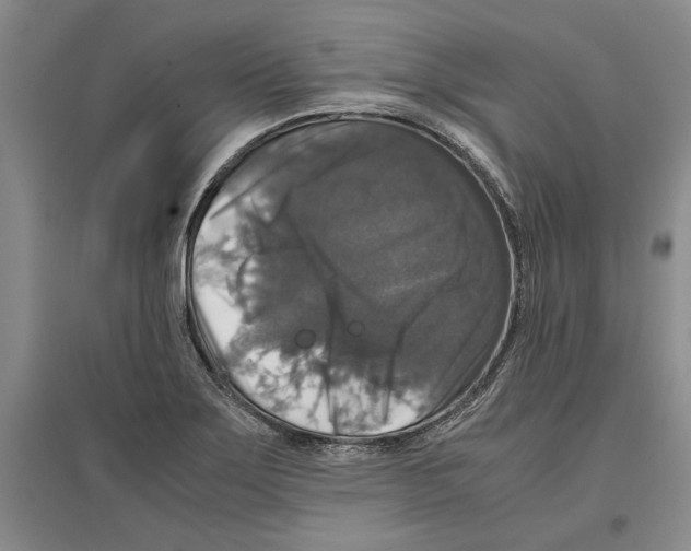 X0000097301275200803141524