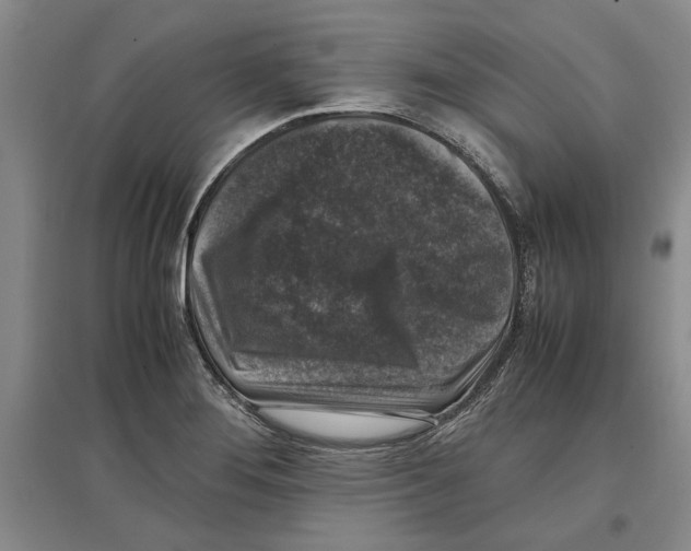 X0000097301276200803141524