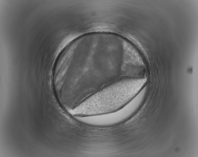 X0000097301277200803141524