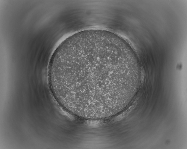 X0000097301278200803141524