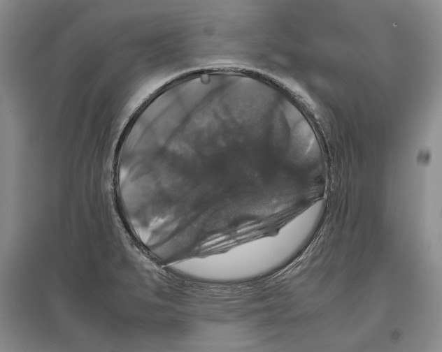 X0000097301279200803141524