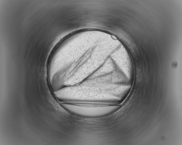 X0000097301280200803141524