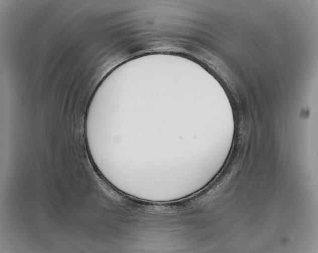 X0000097301281200803141524
