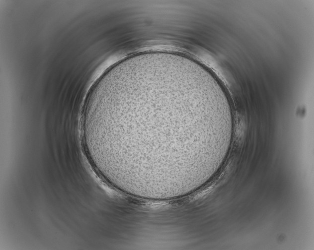 X0000097301282200803141524