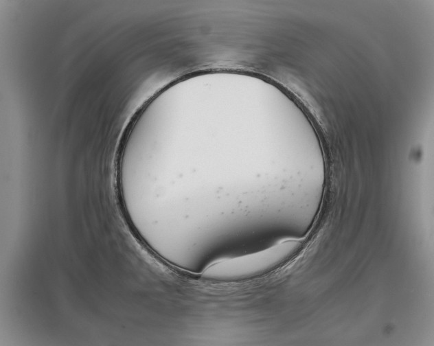 X0000097301285200803141524