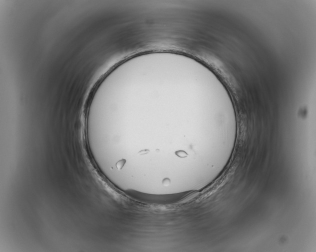 X0000097301286200803141524