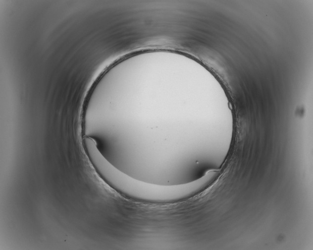 X0000097301288200803141524