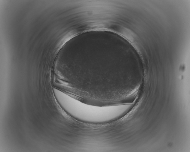 X0000097301289200803141524