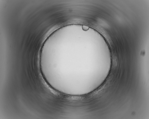 X0000097301290200803141524