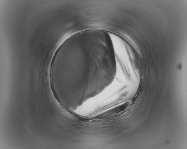 X0000097301291200803141524