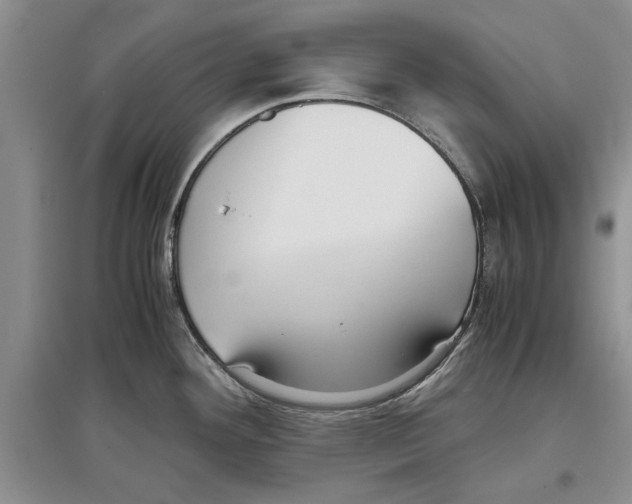 X0000097301292200803141524