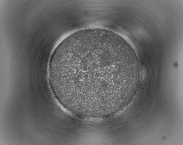 X0000097301294200803141524