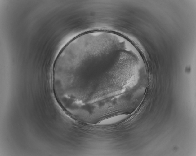X0000097301295200803141524