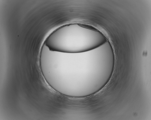 X0000097301296200803141524
